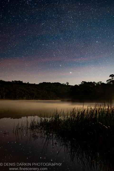 Stars fill the night sky above Dunns Swamp as ground mist hovers over the still water, with silhouetted reeds in the foreground.